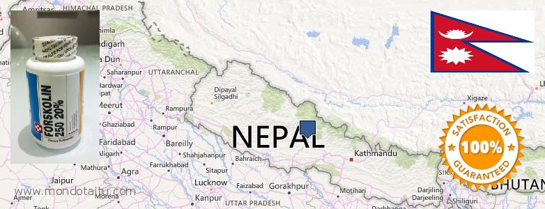 Dove acquistare Forskolin in linea Nepal