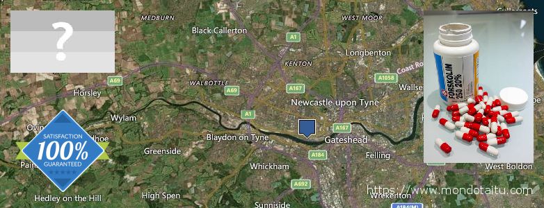 Where to Buy Forskolin Diet Pills online Newcastle upon Tyne, UK