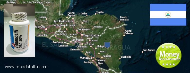Where Can You Buy Forskolin Diet Pills online Nicaragua
