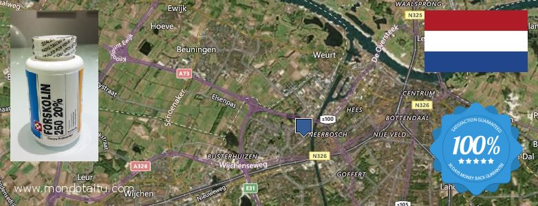 Where to Buy Forskolin Diet Pills online Nijmegen, Netherlands