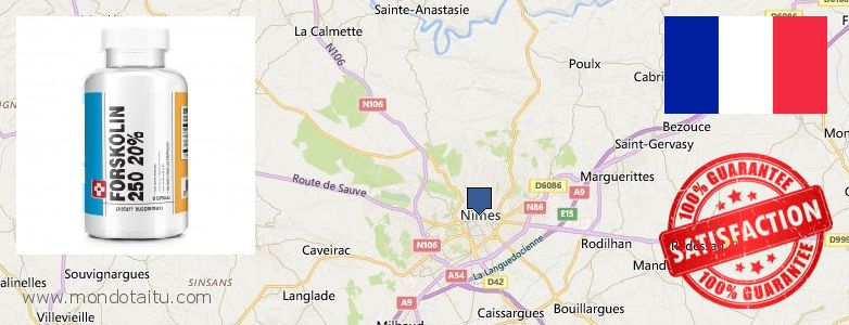 Where to Purchase Forskolin Diet Pills online Nimes, France