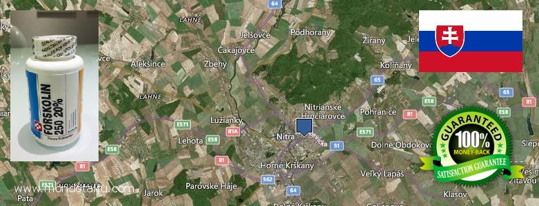 Where to Buy Forskolin Diet Pills online Nitra, Slovakia