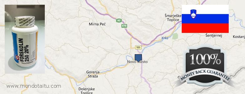 Best Place to Buy Forskolin Diet Pills online Novo Mesto, Slovenia