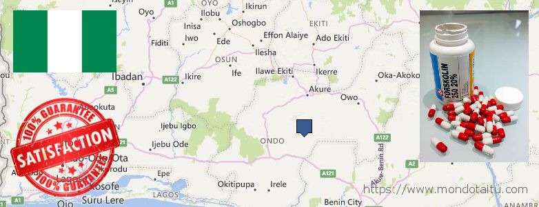 Where to Purchase Forskolin Diet Pills online Ondo, Nigeria