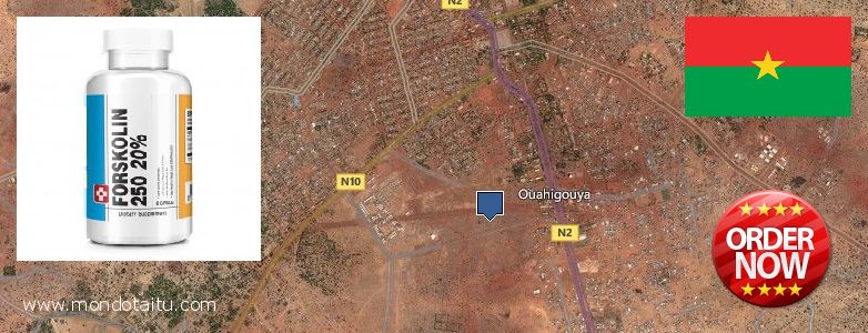 Où Acheter Forskolin en ligne Ouahigouya, Burkina Faso