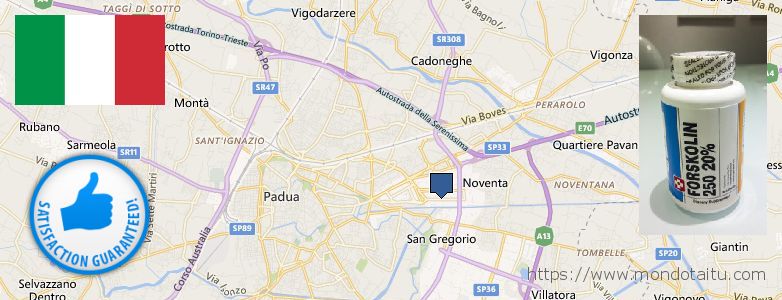 Where to Buy Forskolin Diet Pills online Padova, Italy