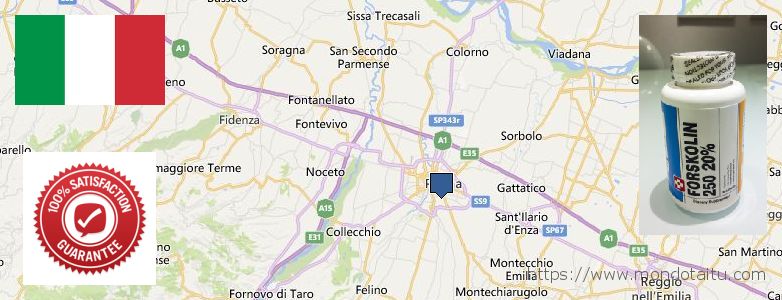 Wo kaufen Forskolin online Parma, Italy
