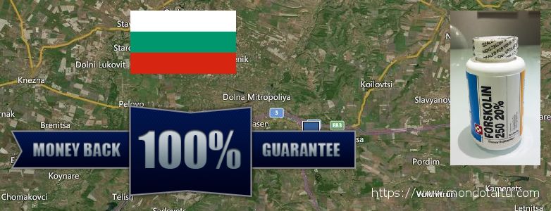 Where to Purchase Forskolin Diet Pills online Pleven, Bulgaria