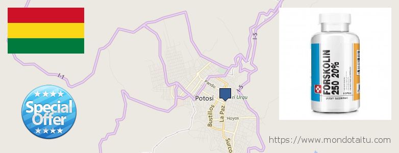 Best Place to Buy Forskolin Diet Pills online Potosi, Bolivia