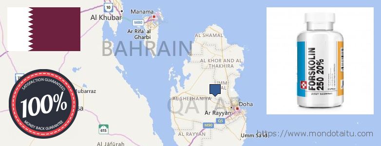 Dónde comprar Forskolin en linea Qatar