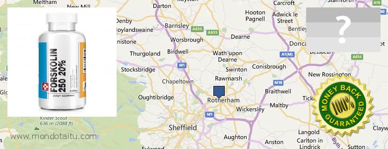 Best Place to Buy Forskolin Diet Pills online Rotherham, UK