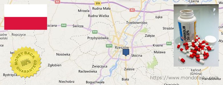 Where to Buy Forskolin Diet Pills online Rzeszow, Poland