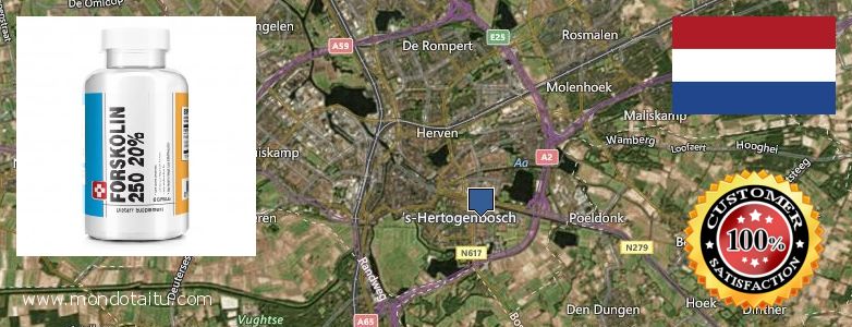 Waar te koop Forskolin online s-Hertogenbosch, Netherlands