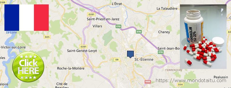 Où Acheter Forskolin en ligne Saint-Etienne, France