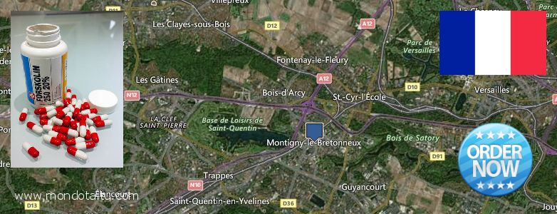 Buy Forskolin Diet Pills online Saint-Quentin-en-Yvelines, France