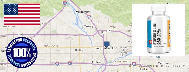 Où Acheter Forskolin en ligne San Bernardino, United States