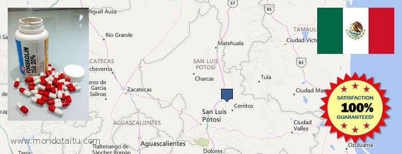 Where to Buy Forskolin Diet Pills online San Luis Potosi, Mexico