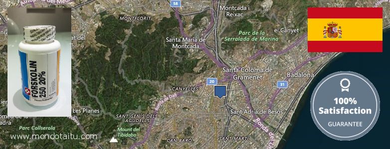 Where to Buy Forskolin Diet Pills online Sant Andreu de Palomar, Spain