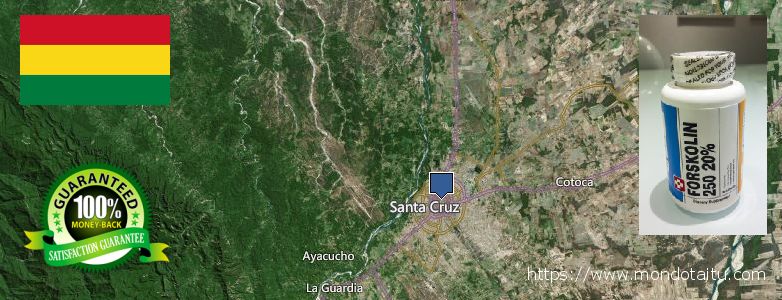 Dónde comprar Forskolin en linea Santa Cruz de la Sierra, Bolivia