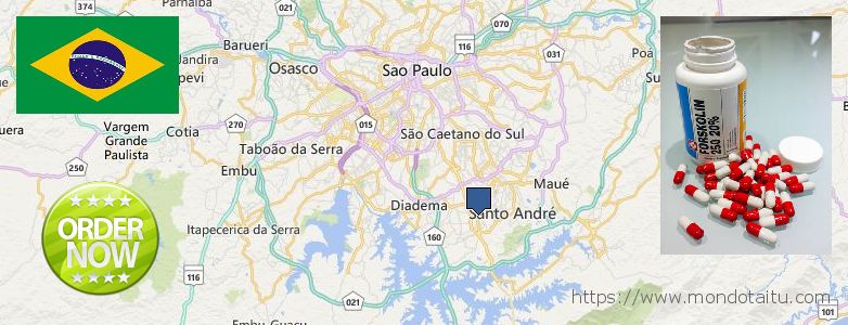 Where to Buy Forskolin Diet Pills online Sao Bernardo do Campo, Brazil