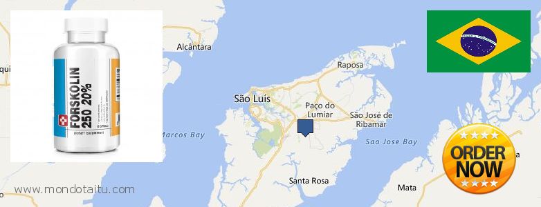 Where to Buy Forskolin Diet Pills online Sao Luis, Brazil