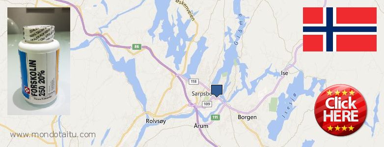 Where to Buy Forskolin Diet Pills online Sarpsborg, Norway