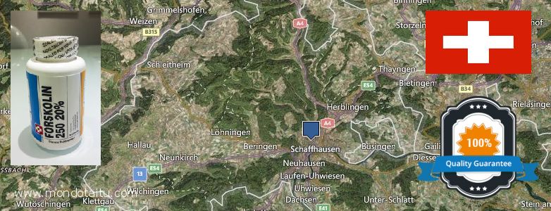 Where to Buy Forskolin Diet Pills online Schaffhausen, Switzerland