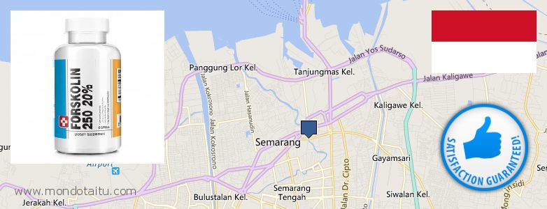 Where to Purchase Forskolin Diet Pills online Semarang, Indonesia