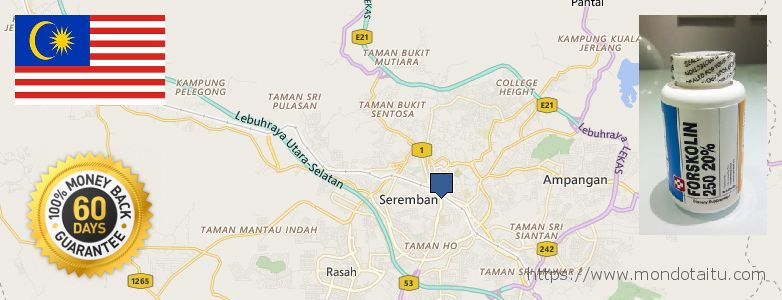 哪里购买 Forskolin 在线 Seremban, Malaysia