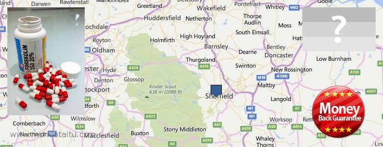 Best Place to Buy Forskolin Diet Pills online Sheffield, UK