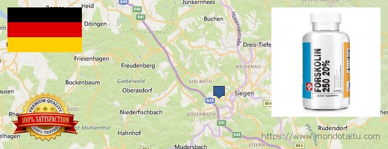 Wo kaufen Forskolin online Siegen, Germany