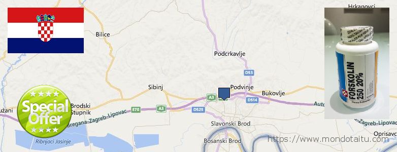 Where to Buy Forskolin Diet Pills online Slavonski Brod, Croatia