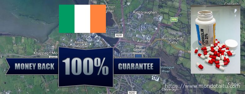 Best Place to Buy Forskolin Diet Pills online Sligo, Ireland