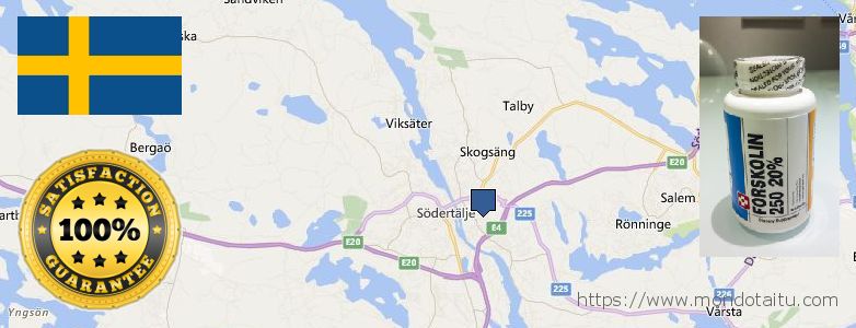 Where to Buy Forskolin Diet Pills online Soedertaelje, Sweden