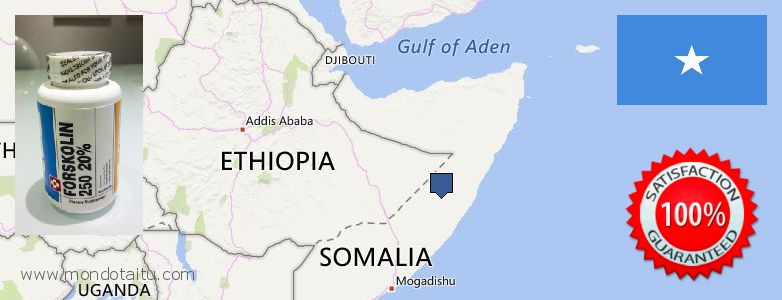 Dove acquistare Forskolin in linea Somalia