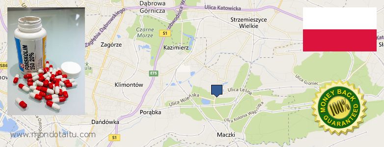 Wo kaufen Forskolin online Sosnowiec, Poland