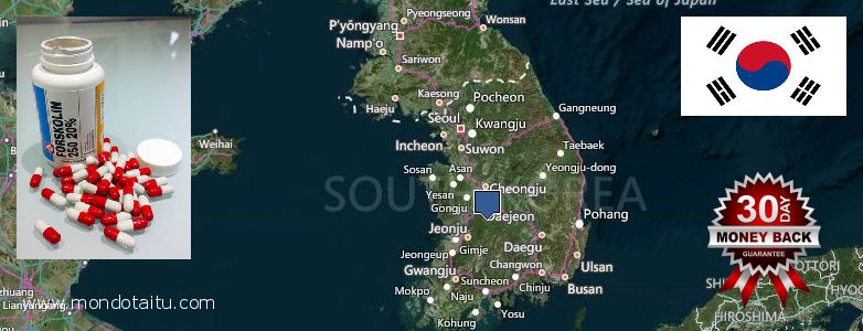 Buy Forskolin Diet Pills online South Korea Where Can I Purchase Forskolin Diet Pills online South Korea