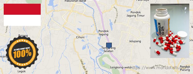 Where to Buy Forskolin Diet Pills online South Tangerang, Indonesia