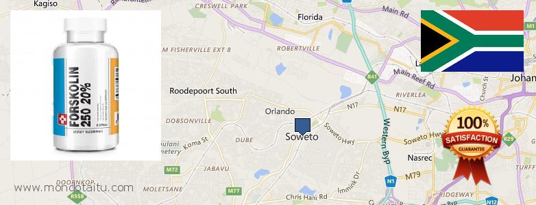 Waar te koop Forskolin online Soweto, South Africa