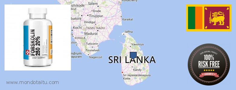 حيث لشراء Forskolin على الانترنت Sri Lanka