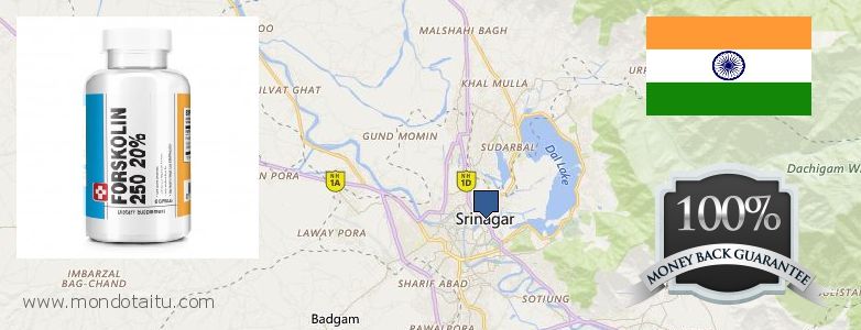 Where to Buy Forskolin Diet Pills online Srinagar, India