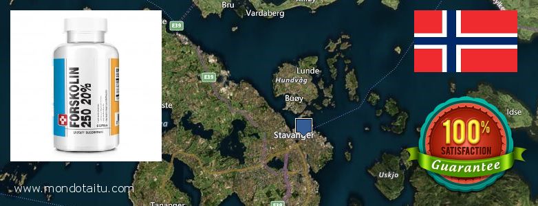 Best Place to Buy Forskolin Diet Pills online Stavanger, Norway