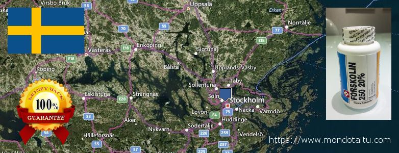 Where to Buy Forskolin Diet Pills online Stockholm, Sweden