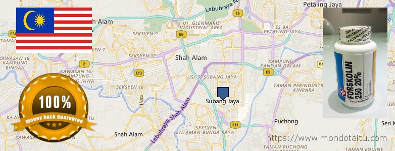 Where to Buy Forskolin Diet Pills online Subang Jaya, Malaysia