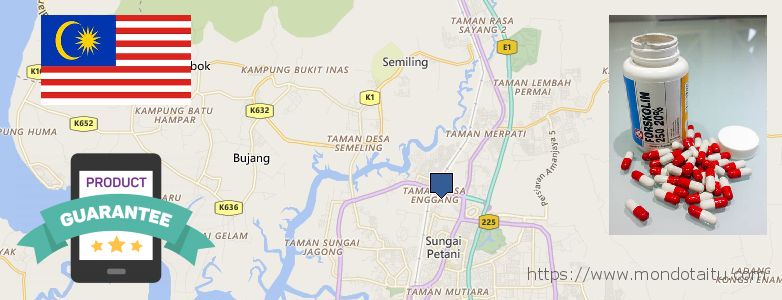 Where Can You Buy Forskolin Diet Pills online Sungai Petani, Malaysia