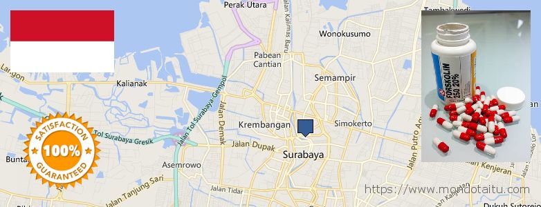 Where to Buy Forskolin Diet Pills online Surabaya, Indonesia