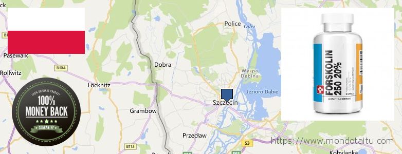 Where to Buy Forskolin Diet Pills online Szczecin, Poland