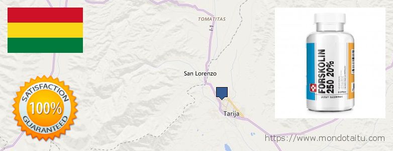Where to Buy Forskolin Diet Pills online Tarija, Bolivia