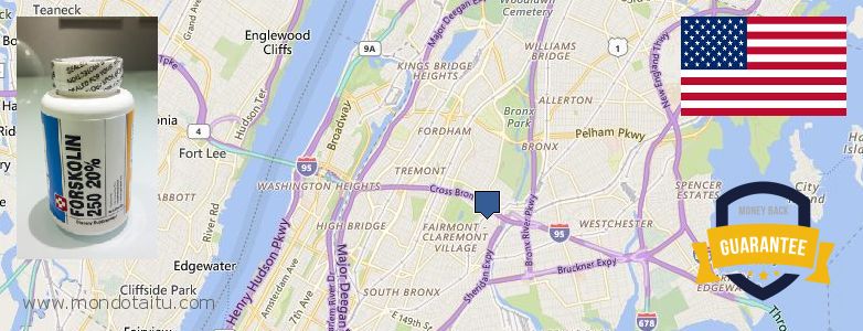 Waar te koop Forskolin online The Bronx, United States