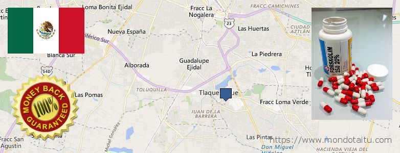 Dónde comprar Forskolin en linea Tlaquepaque, Mexico